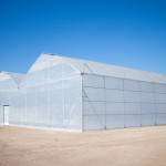 multi span greenhouse tunnels