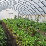 GREENHOUSE TUNNELS SOUTH AFRICA