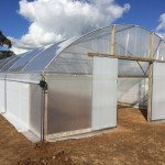 Greenhouse tunnels eastern cape