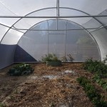 GREENHOUSE TUNNELS